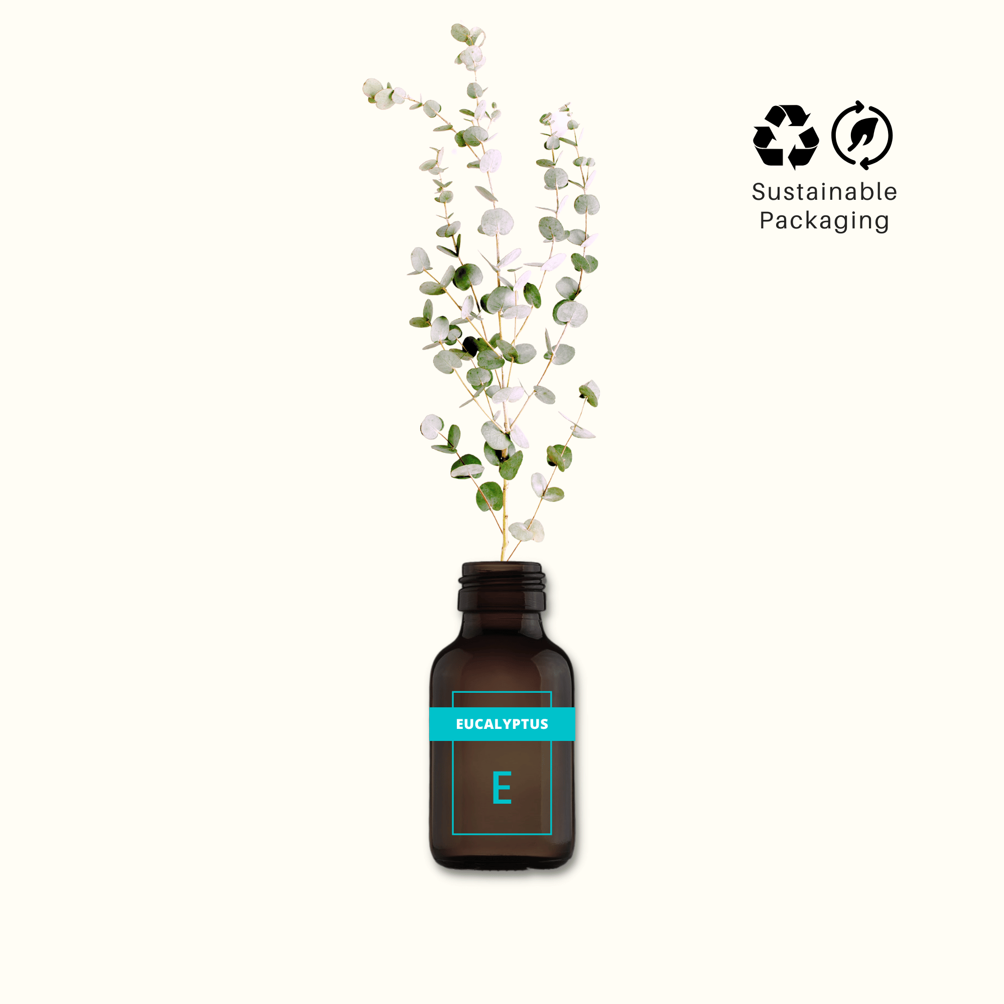 Eucalyptus, Pure Aromatherapy Essential Oil