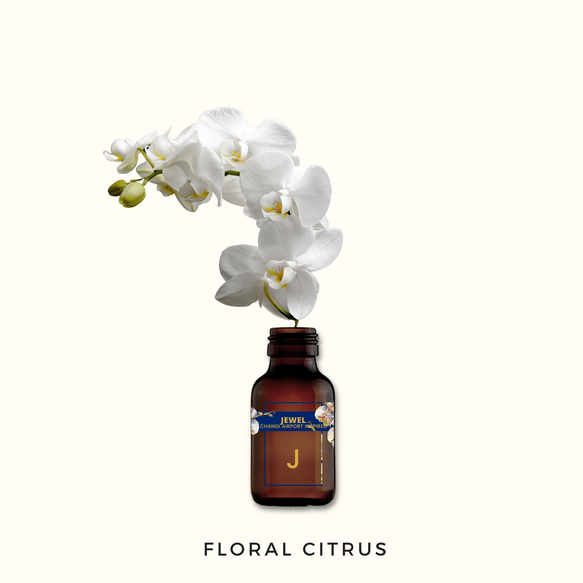 Signature Scent Bundle - 6 Iconic Places