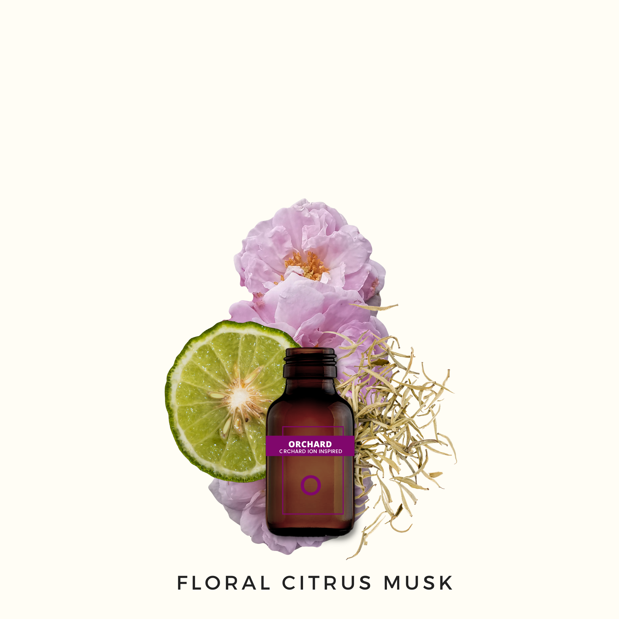 Signature Scent Bundle - 6 Iconic Places