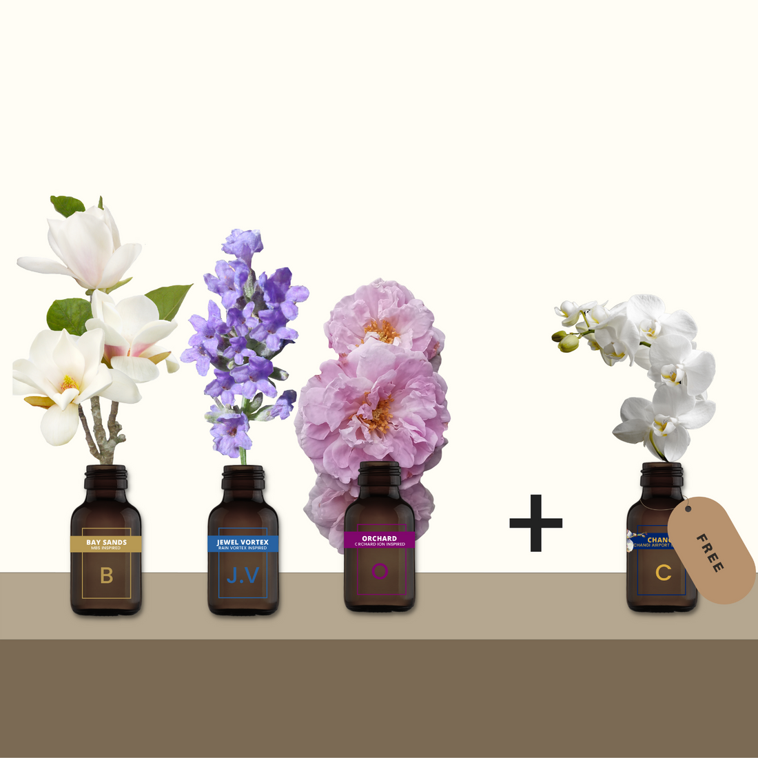 Buy 3 Get 1 More - Pure Aromatherapy Oil Set