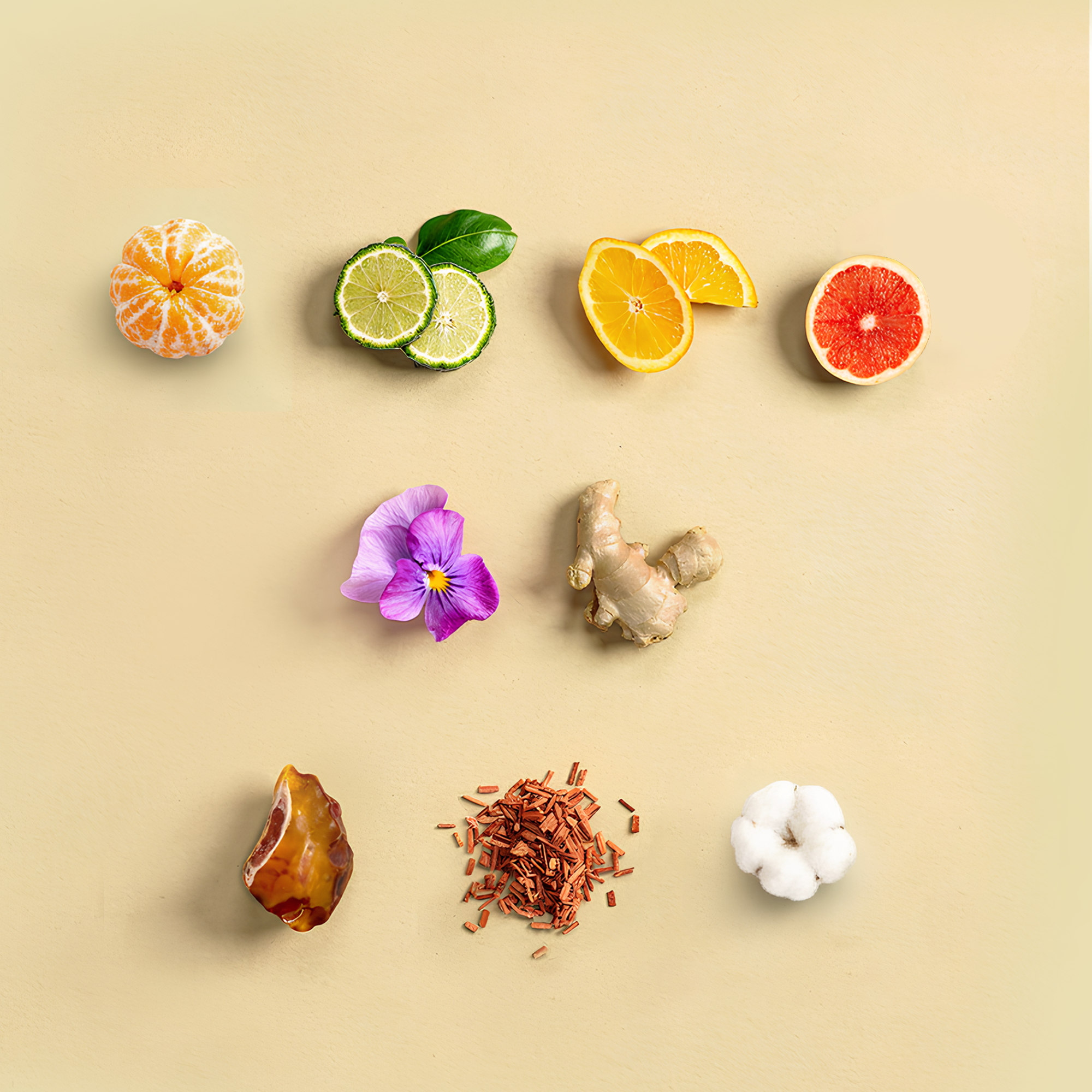 Aquatic Ambergris