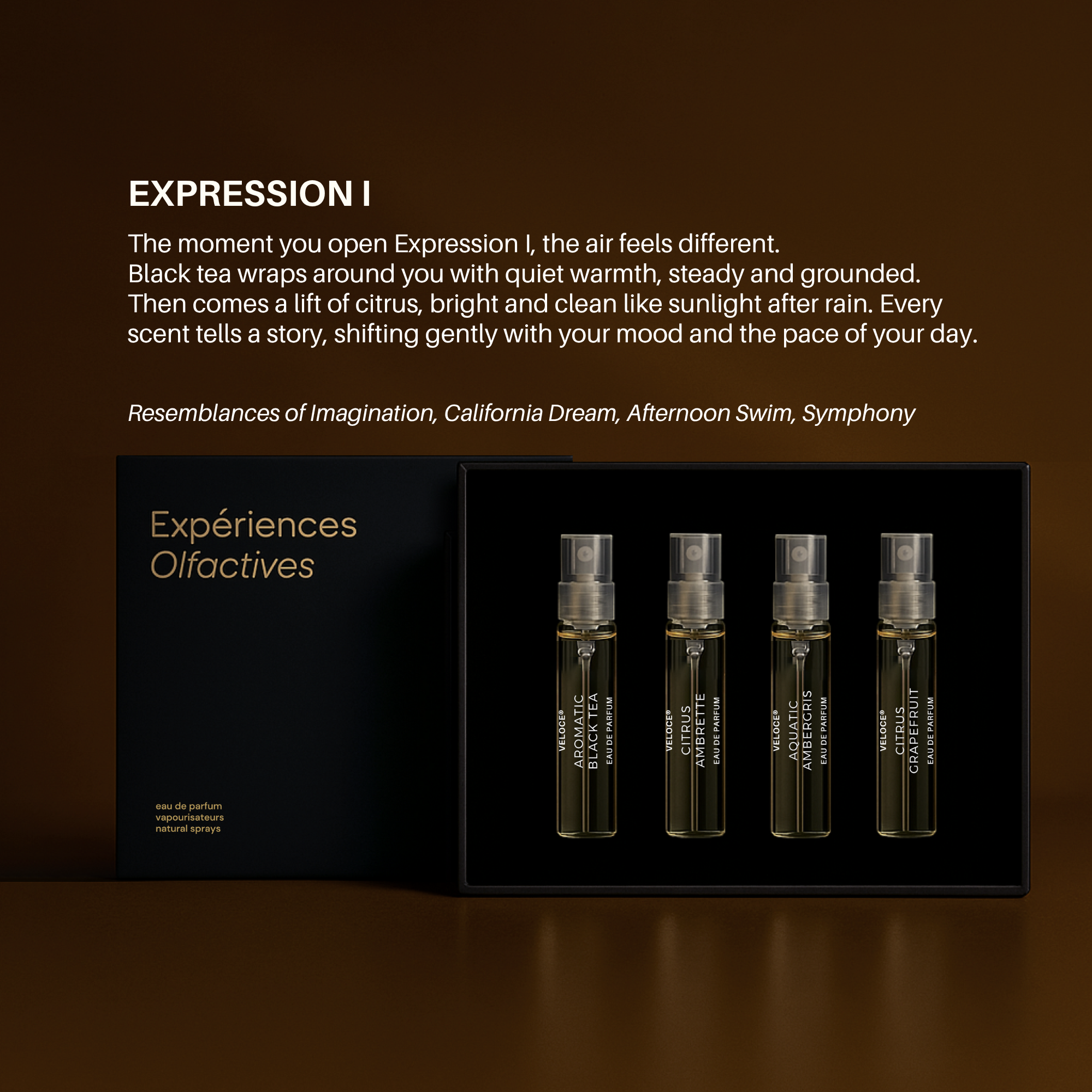 Experiences Olfactives: Expression I