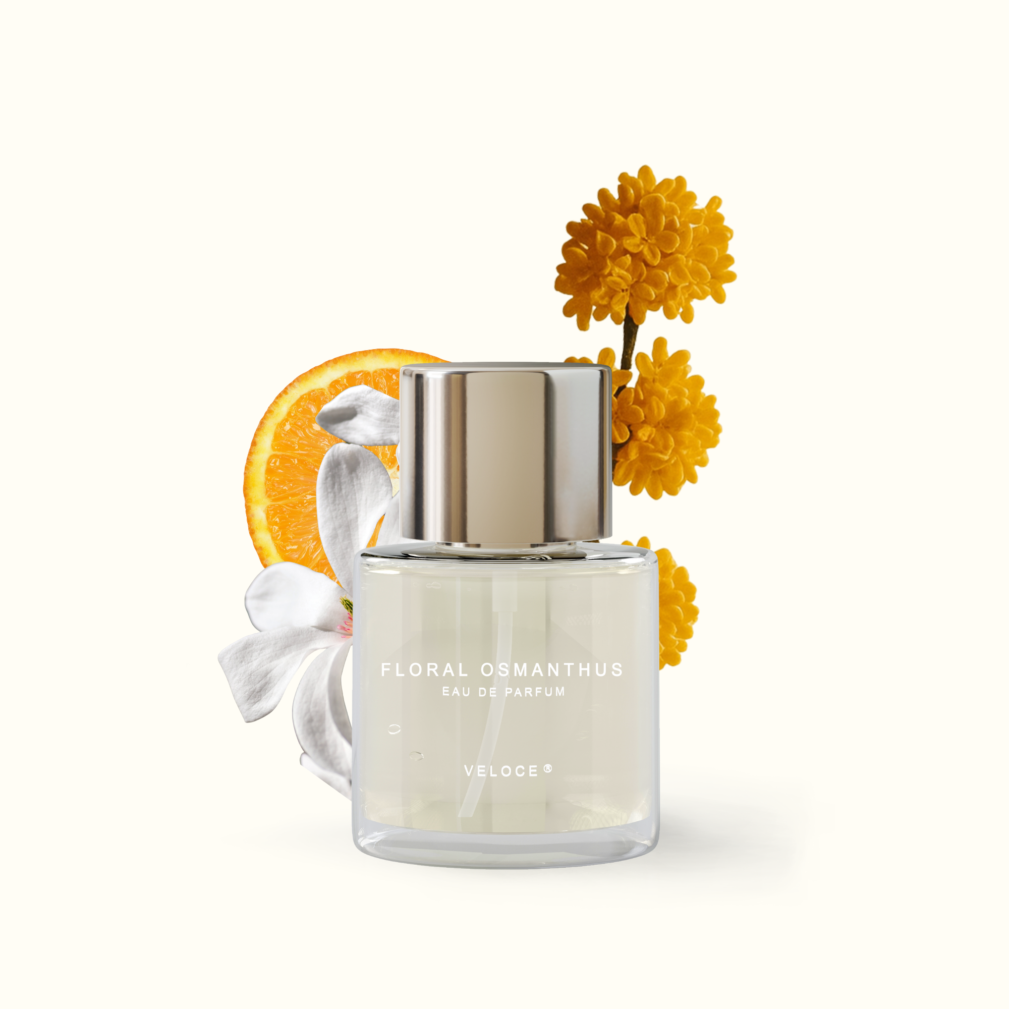 Floral Osmanthus