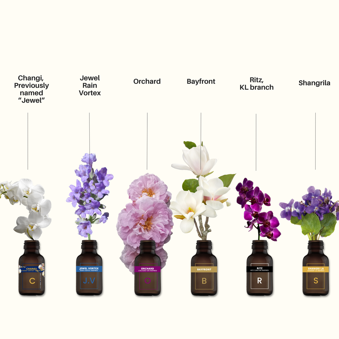 Signature Hotel &amp; Mall - Aromatherapy Oil Set