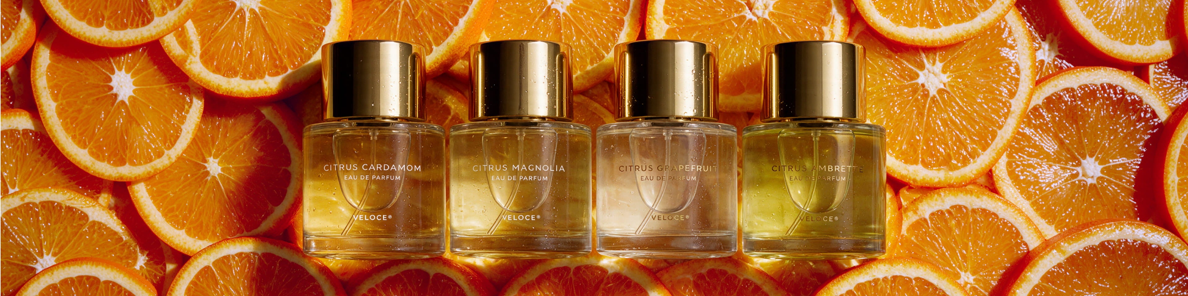 SUNLIT CITRUS FRESH