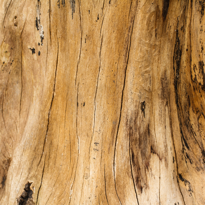 Shangri La, Pure Aromatherapy Essential Oil
