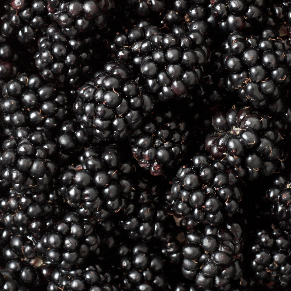 Blackberry & Bay, Pure Aromatherapy Essential Oil