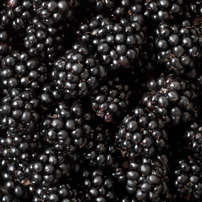 Blackberry &amp; Bay, Pure Aromatherapy Essential Oil