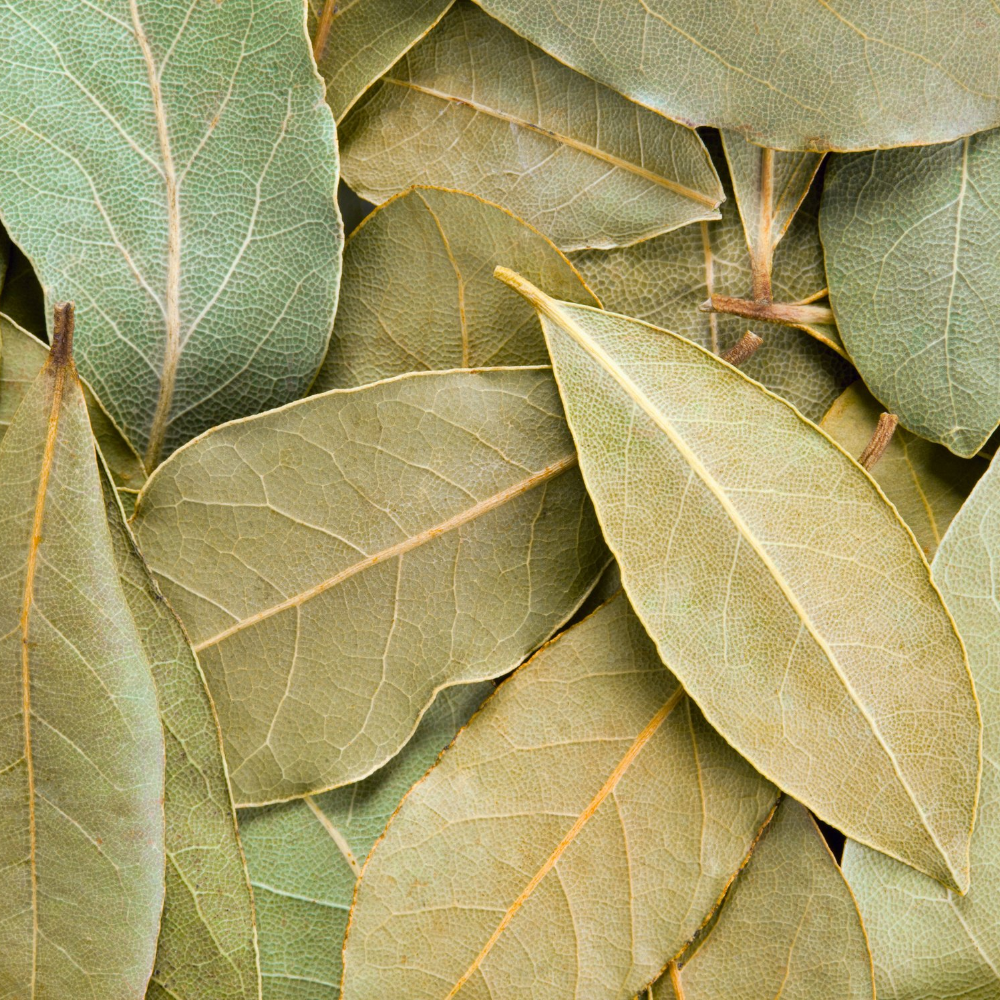 Blackberry & Bay, Pure Aromatherapy Essential Oil