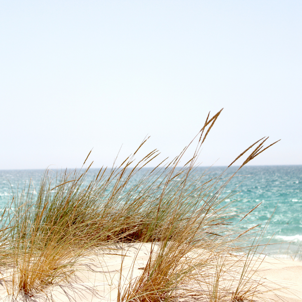 Sea Salt &amp; Sage, Pure Aromatherapy Essential Oil