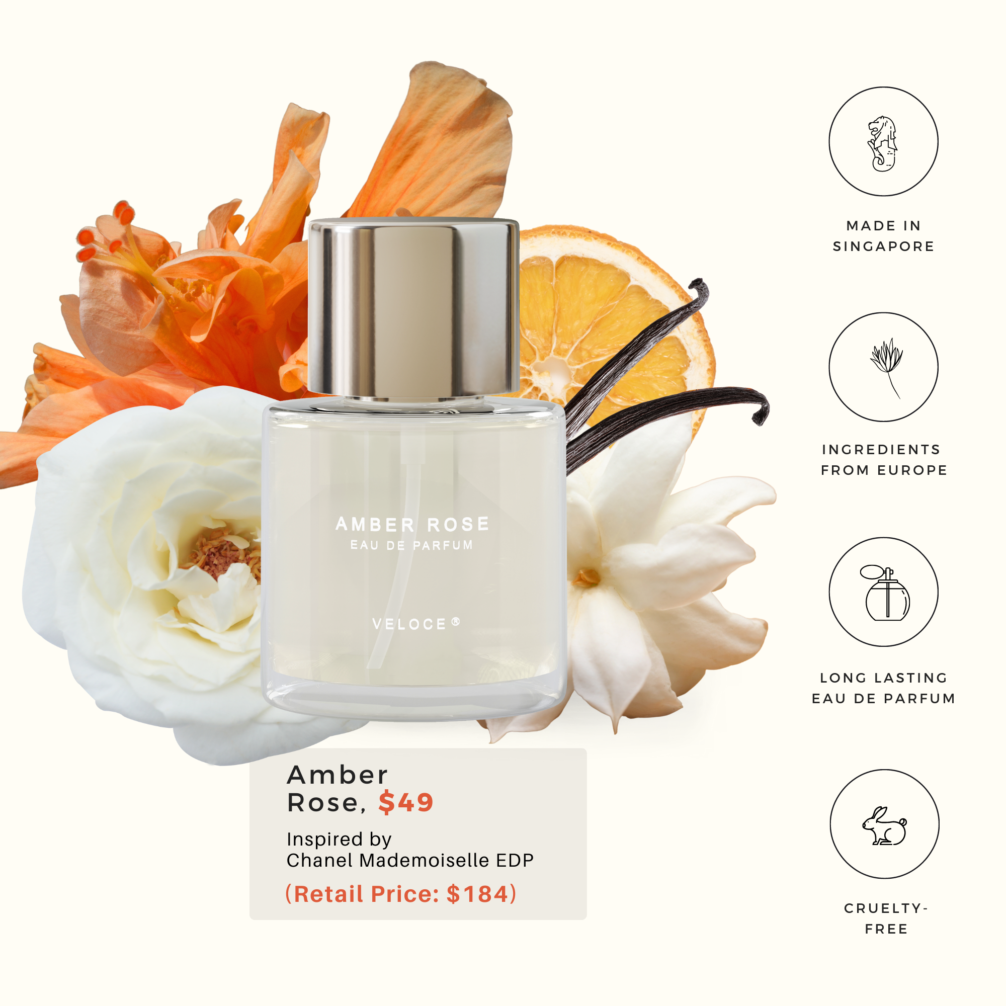 Amber rose discount perfume