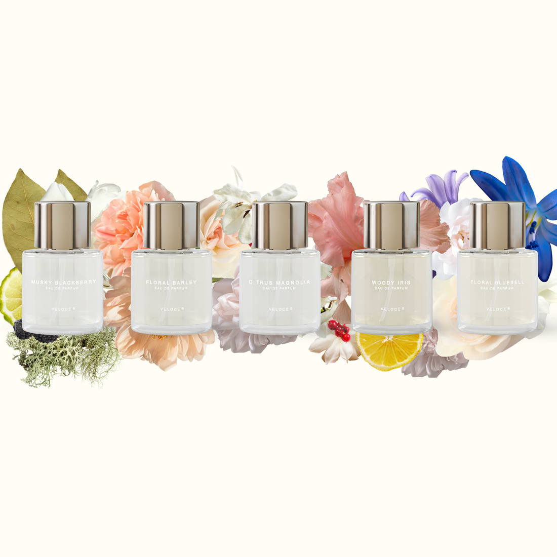 Perfume Bundle (Bundle of 5)