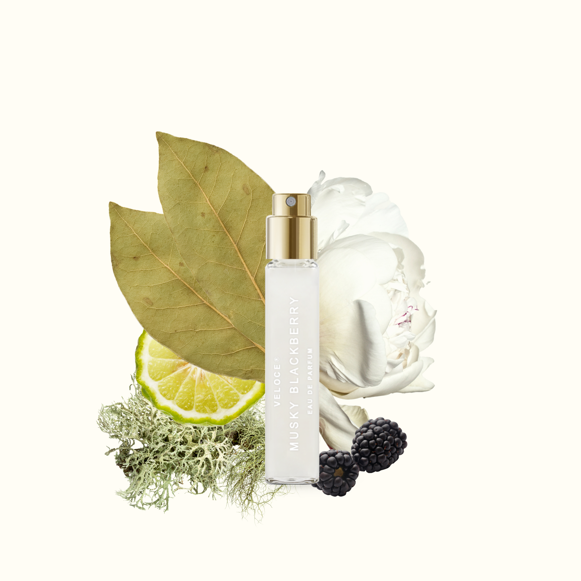Musky Blackberry (Travel Size)