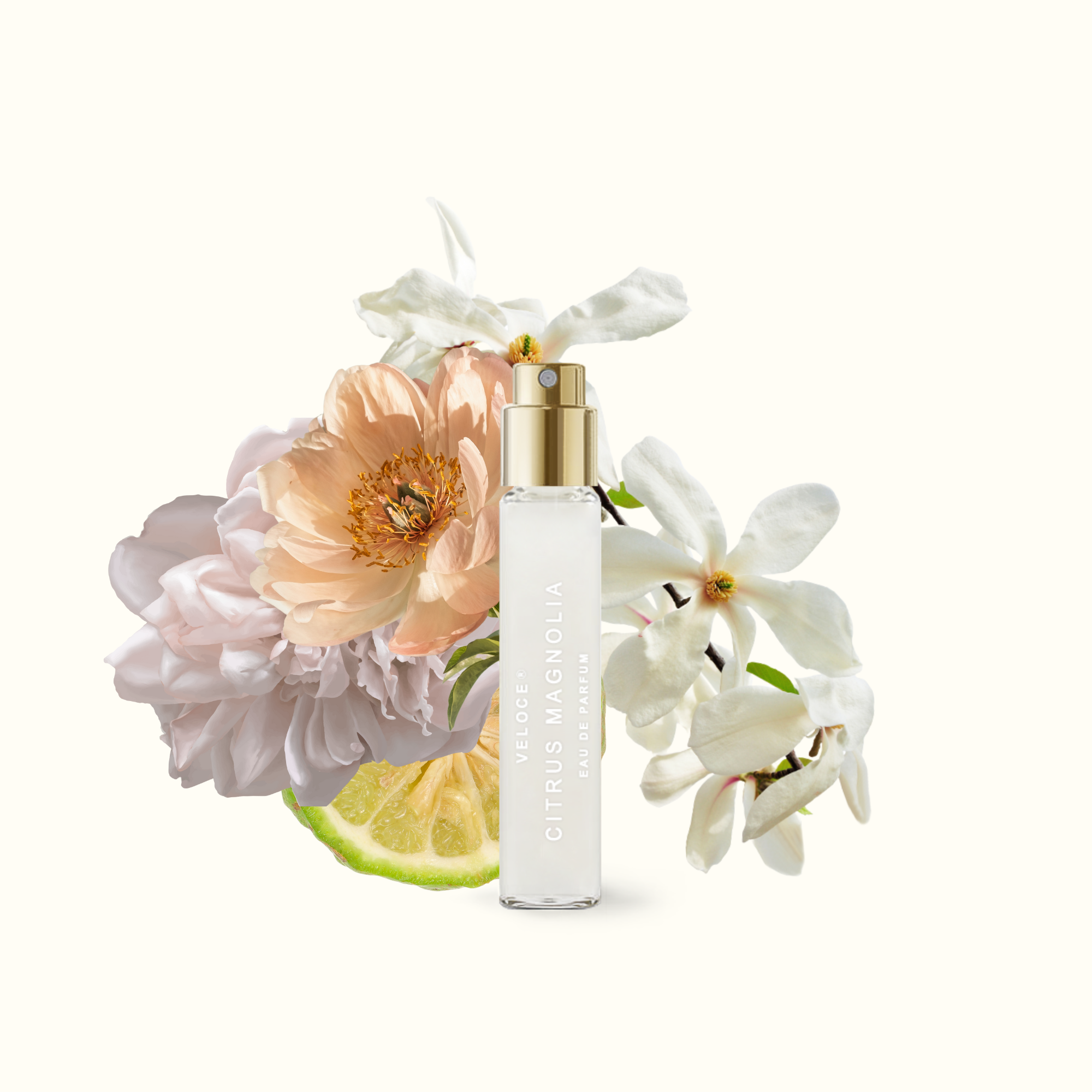Citrus Magnolia