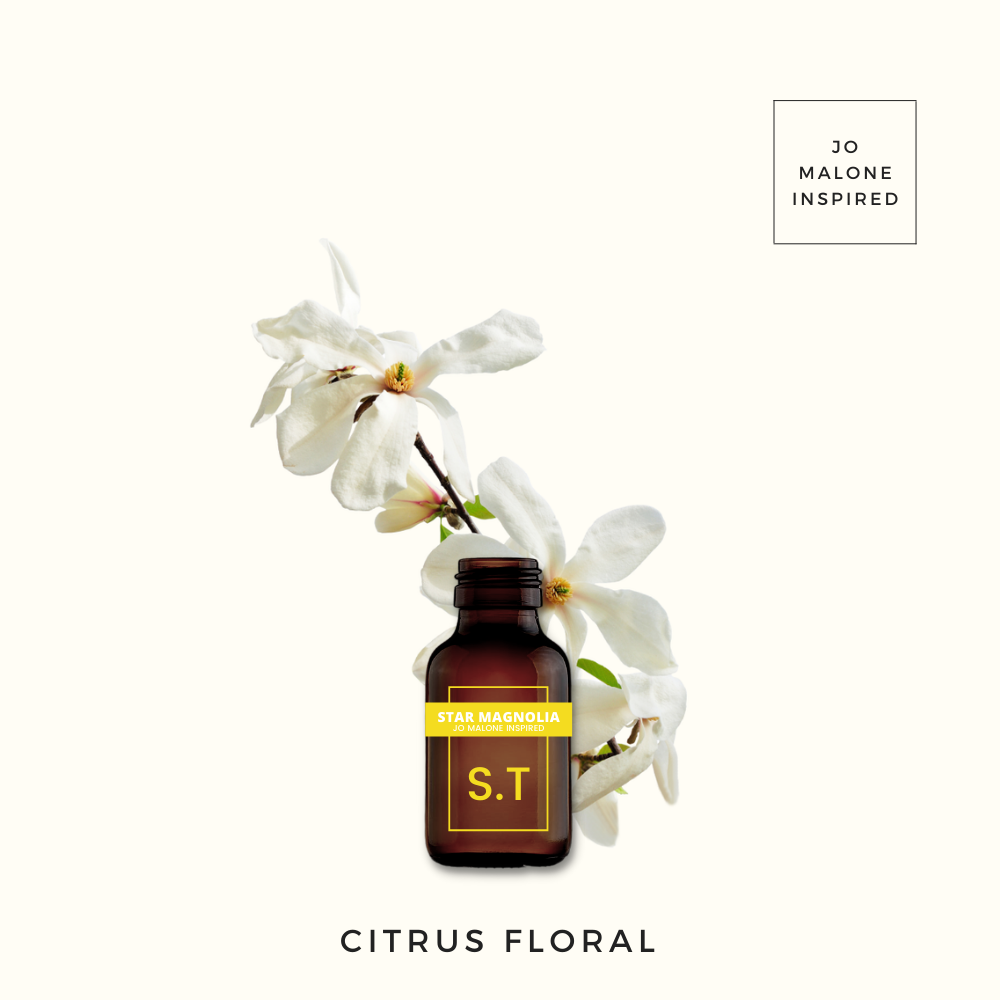 Star Magnolia, Pure Aromatherapy Essential Oil