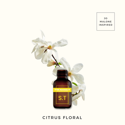 Star Magnolia, Pure Aromatherapy Essential Oil