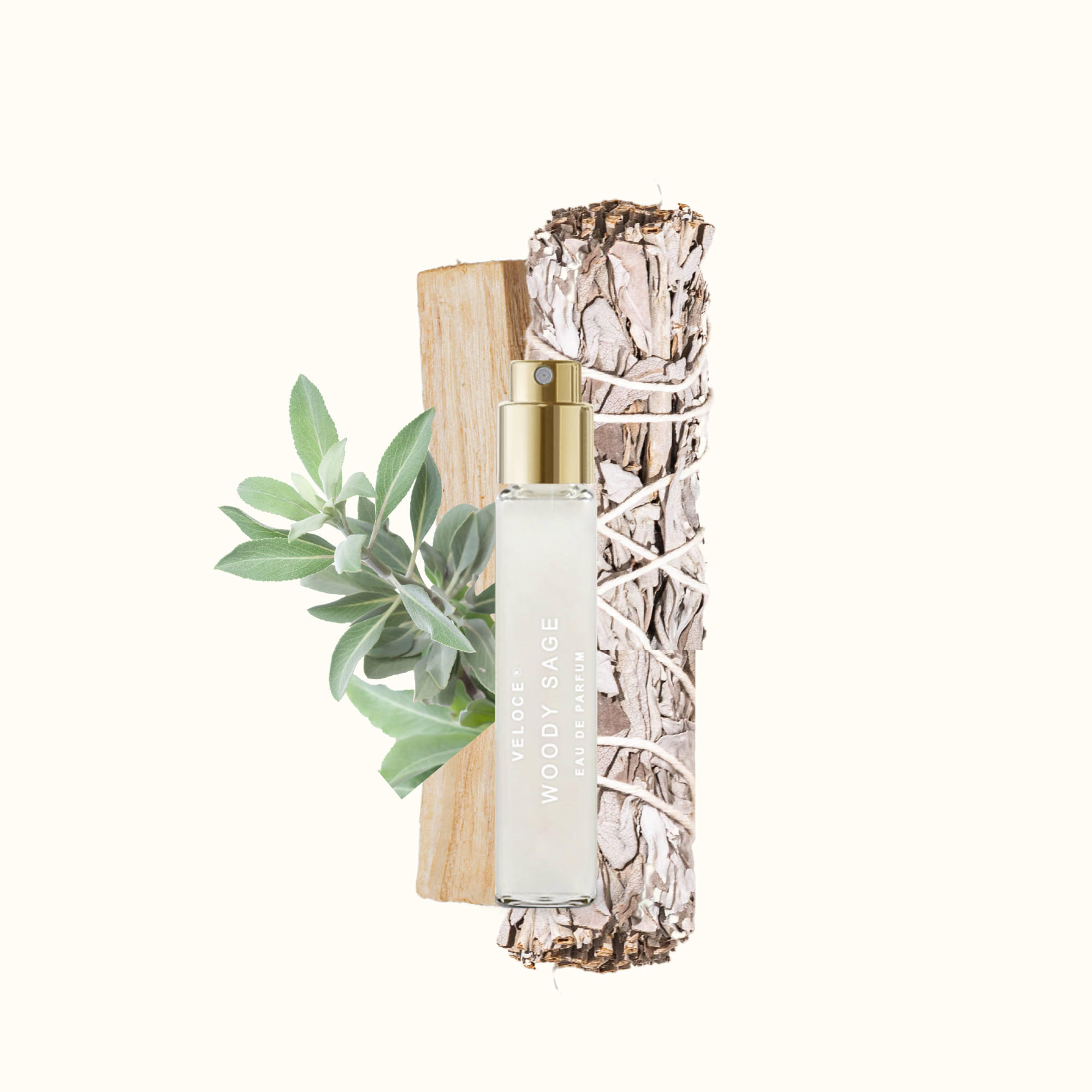 Woody Sage