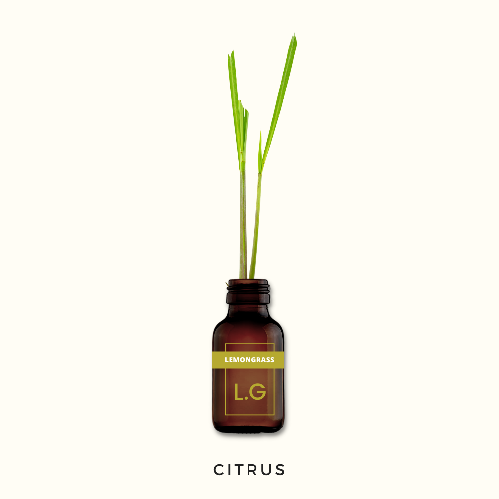 Lemongrass, Pure Aromatherapy Essential Oil
